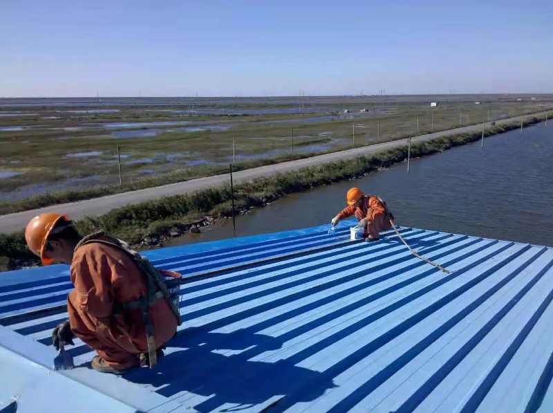 德城彩钢瓦屋面防腐翻新